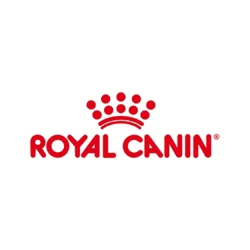 1_2b3bbc7e-fea2-4b0f-96aa-42b9ce31d17b_250x 1